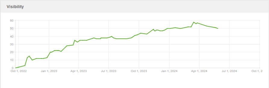 результаты SEO в Google 2024