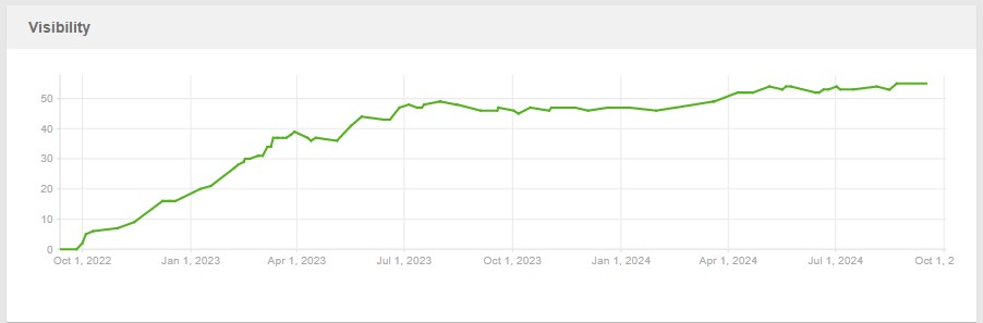 seo case study visibility